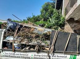 Best Construction Debris Removal  in USA